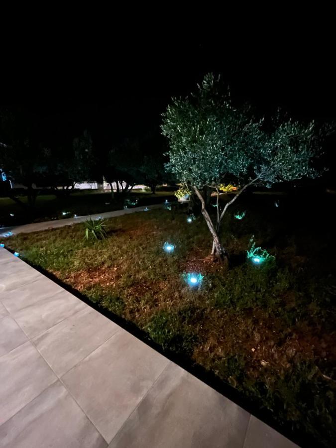 Apartman Oliva Zadar Exterior photo